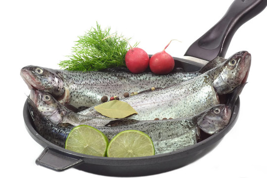 在一個(gè)泛鱒魚(yú)