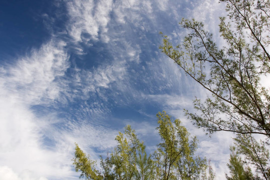 夏日的天空