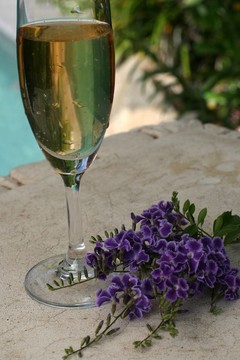 酒和Flowers