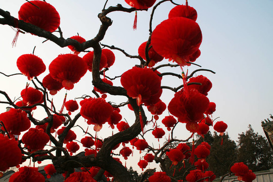 中國新年的燈籠