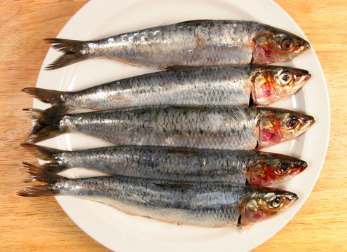 在一片沙丁油魚