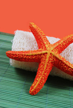 水療美容產(chǎn)品