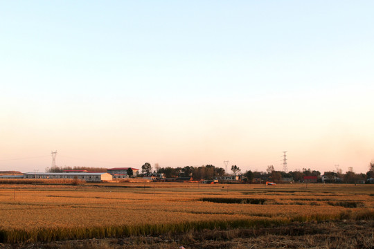 東北農(nóng)村 秋天田園風(fēng)光