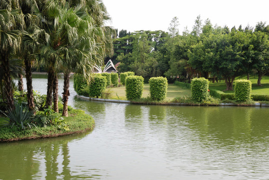 池塘