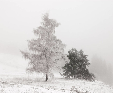 降雪