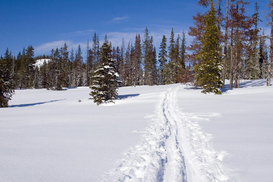 雪地里的痕跡