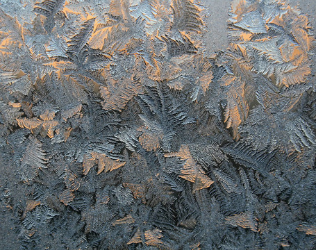 Frost模式