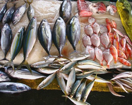 臺(tái)灣的魚(yú)市場(chǎng)