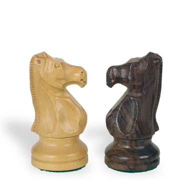 國際象棋騎士