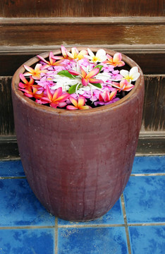熱帶花卉