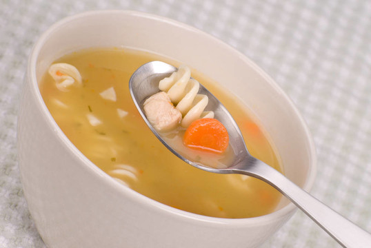 雞肉面條湯