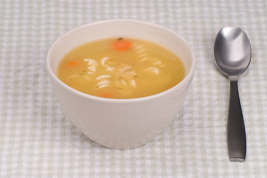 雞肉面條湯