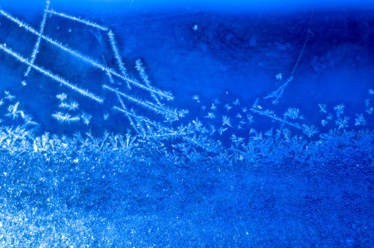 Frost在窗口