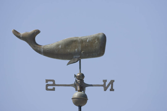 在一個(gè)天氣風(fēng)向標(biāo)上的鯨魚