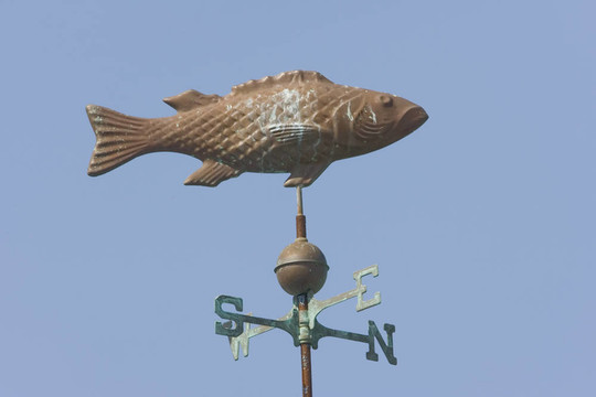 在一個(gè)天氣風(fēng)向標(biāo)上的魚(yú)