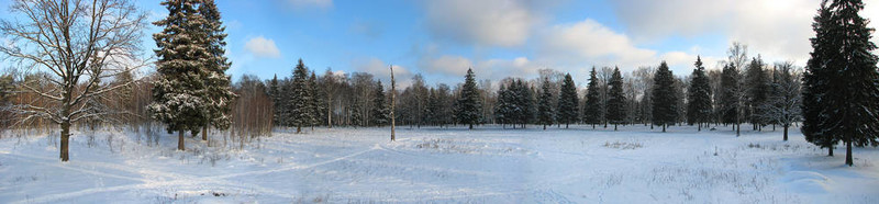 Winter 01