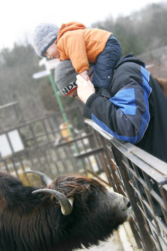 動物園里的小男孩