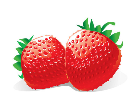 Strawberry（插圖）