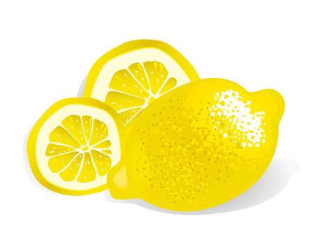 檸檬（插圖）