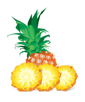 菠蘿（插圖）