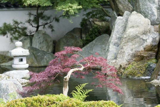 日本式庭園