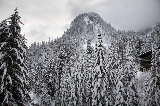 雪山小屋
