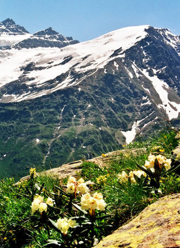 春天在prielbruse。