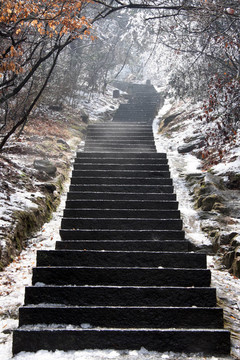 雪中的樓梯