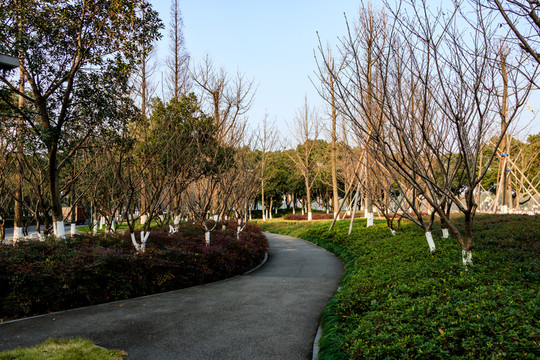 園林景觀 公園景觀 公園綠化