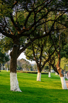 園林景觀 公園景觀 公園綠化