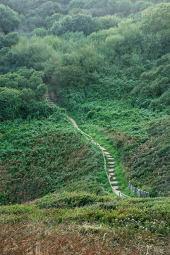 樓梯上山坡