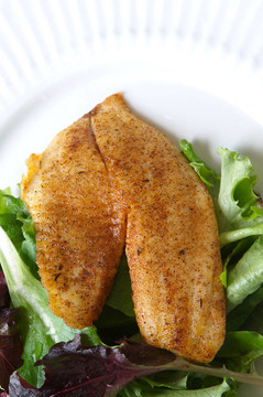 羅非魚魚調(diào)味