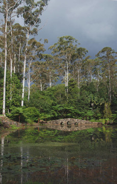 石橋