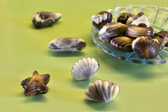 海鮮形狀的巧克力