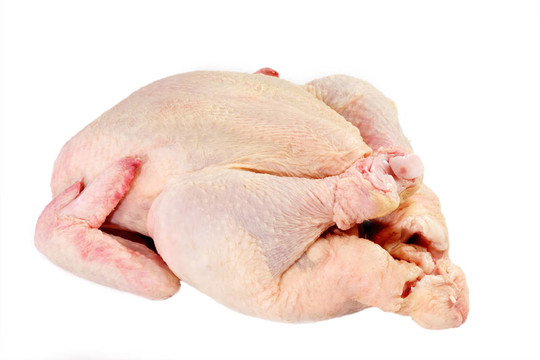 生雞肉