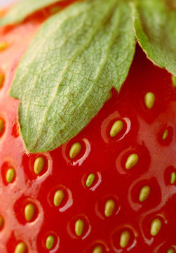 Strawberry特寫