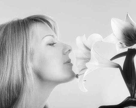 女人與madonna lily