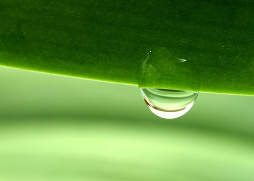 水滴