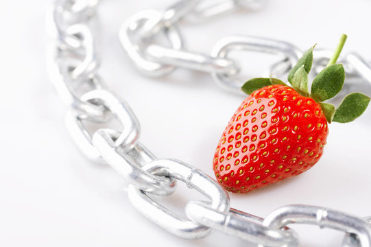 Strawberry的想象力