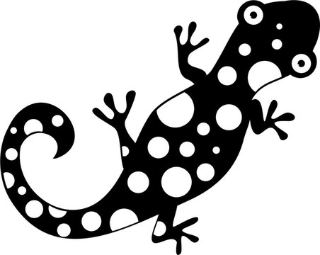 斑點(diǎn)的蜥蜴