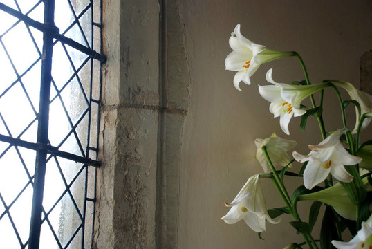 百合花窗