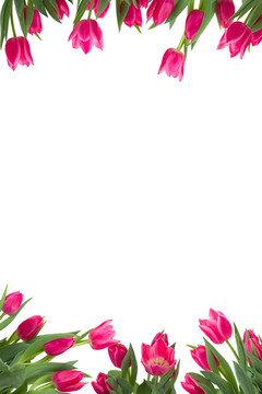 花框