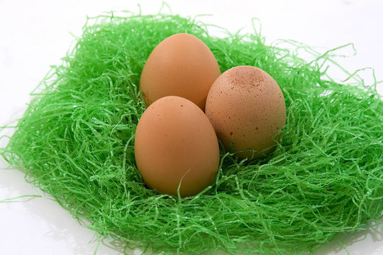 osternest