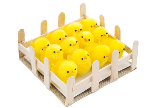 復(fù)活節(jié)小雞