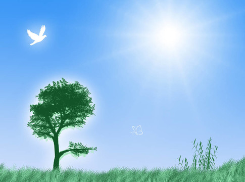 春天的風(fēng)景