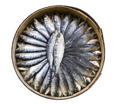 腌鯡魚