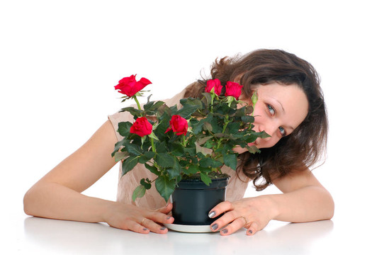 帶花盆的女人