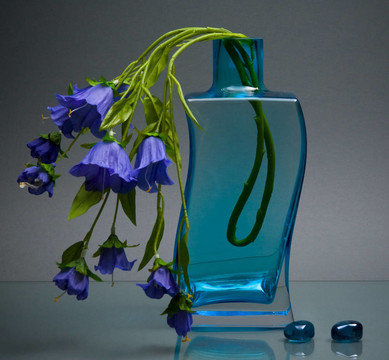 藍(lán)色的玻璃花瓶，花上有灰色的小花朵
