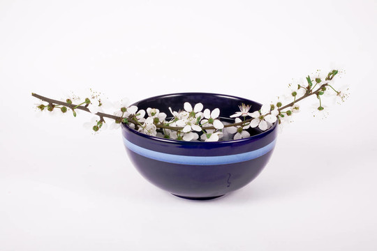 櫻花
