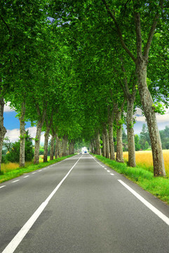 法國(guó)的鄉(xiāng)村道路